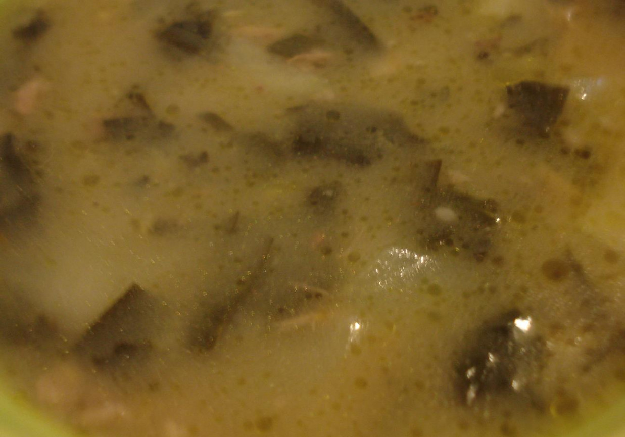 Wiosenna zupa z kalarepką foto