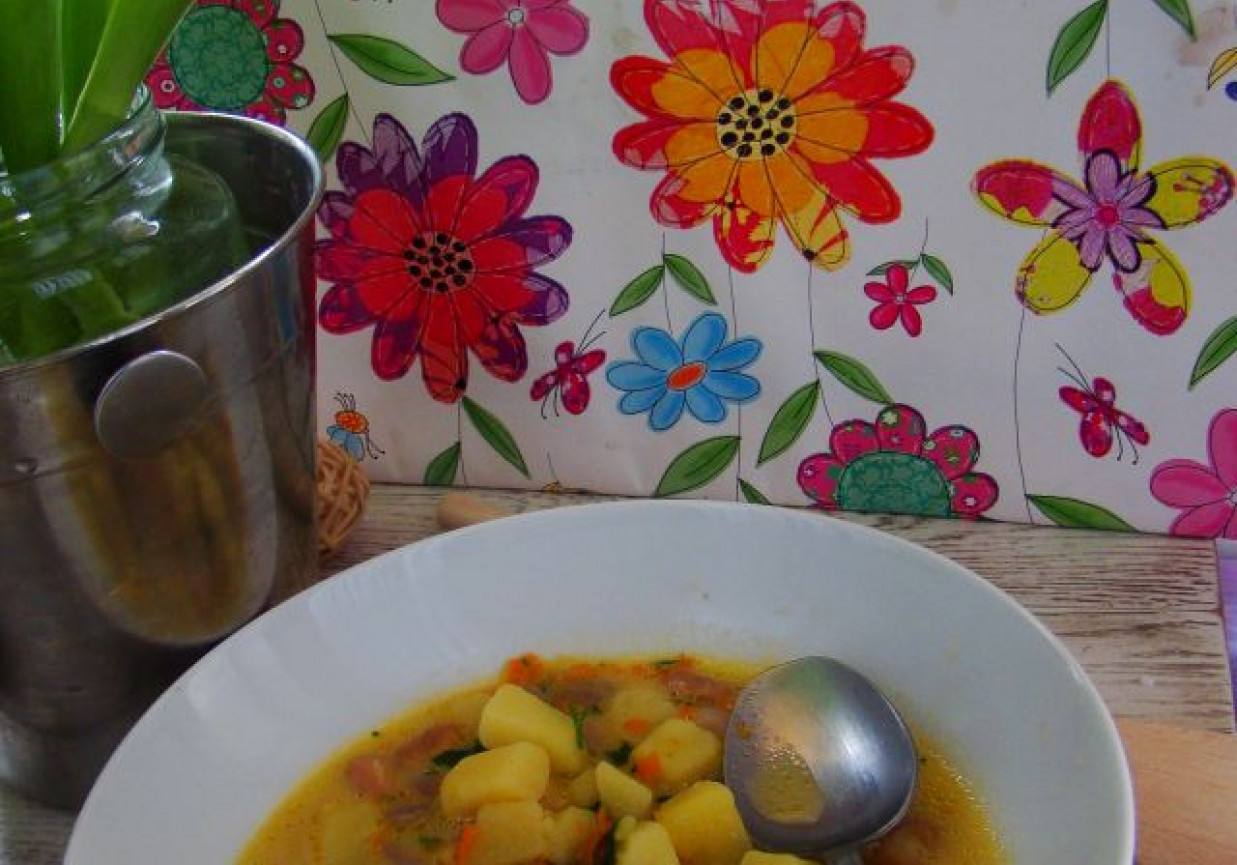 Wiosenna zupa z kolorowej fasoli foto