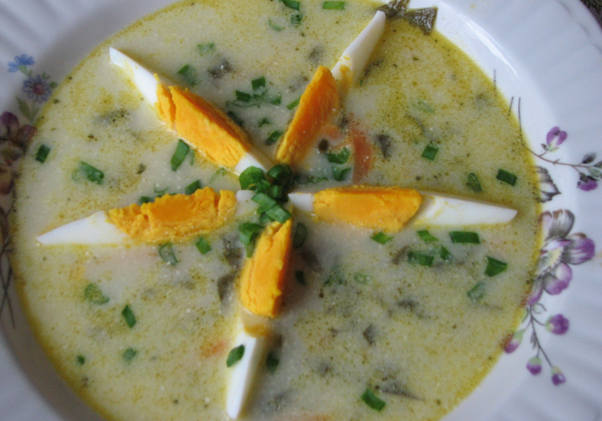 Wiosenna zupa z serkiem foto