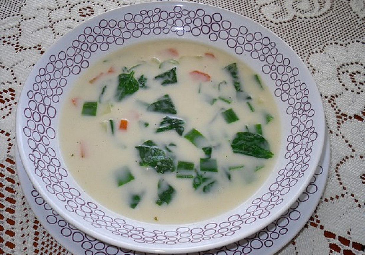 Wiosenna zupa ze szpinakiem foto
