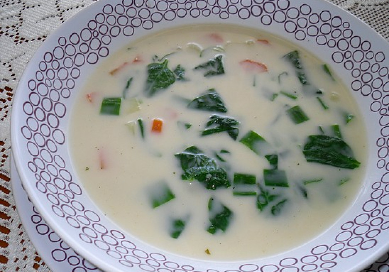 Wiosenna zupa ze szpinakiem foto