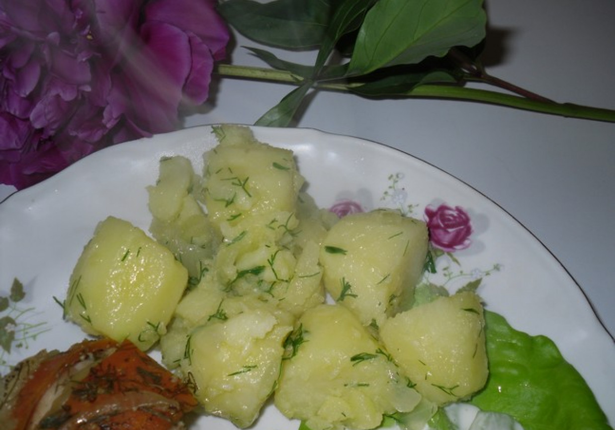 Wiosenne ziemniaki foto