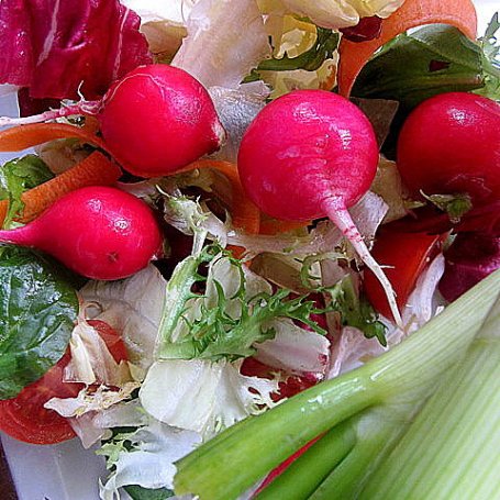 Krok 1 - Wiosna  na talerzu i pierwsze nowalijki foto