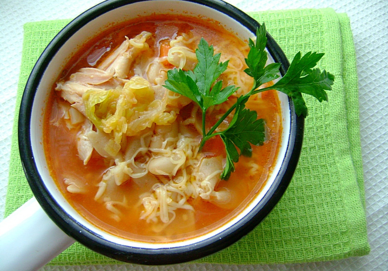 Włoska zupa jarzynowa z fasolą i makaronem foto