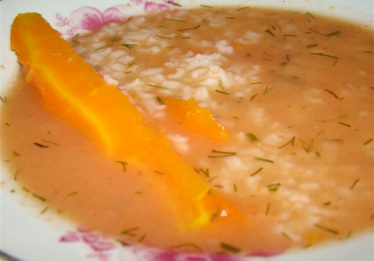 wloska zupa pomidorowa foto