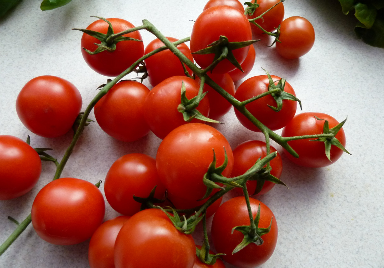 Za co kochamy pomidory?