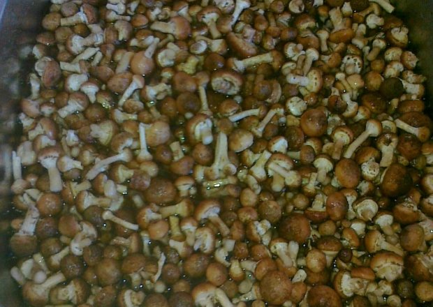 Fotografia przedstawiająca Zalewa do grzybów.