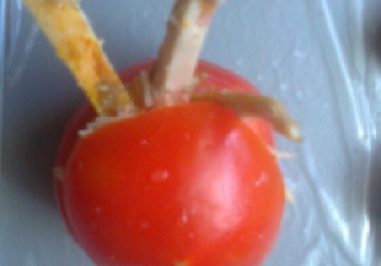 Zapiekane pomidorki foto