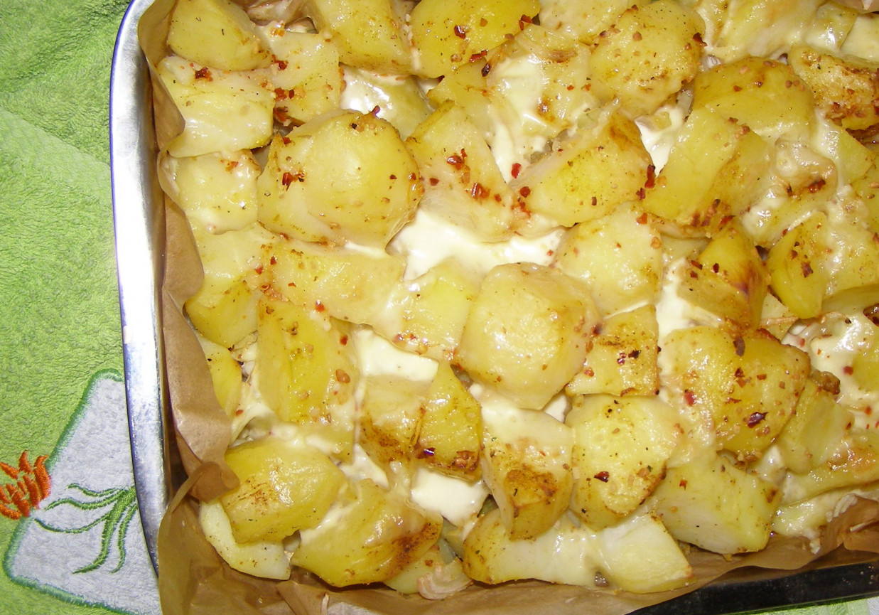 zapiekane ziemniaki z olejami smakowymi i mozzrellą... foto