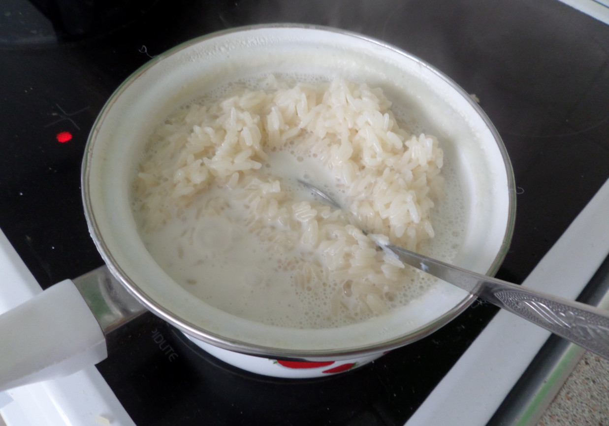 Zapiekanka ryżowo owocowa foto