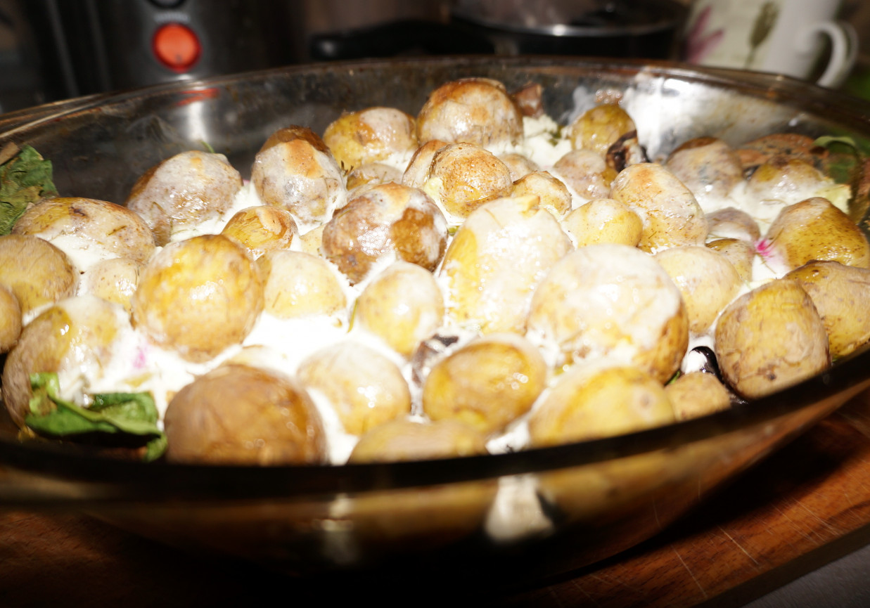 Zapiekanka z młodych ziemniaków i brązowych pieczarek foto