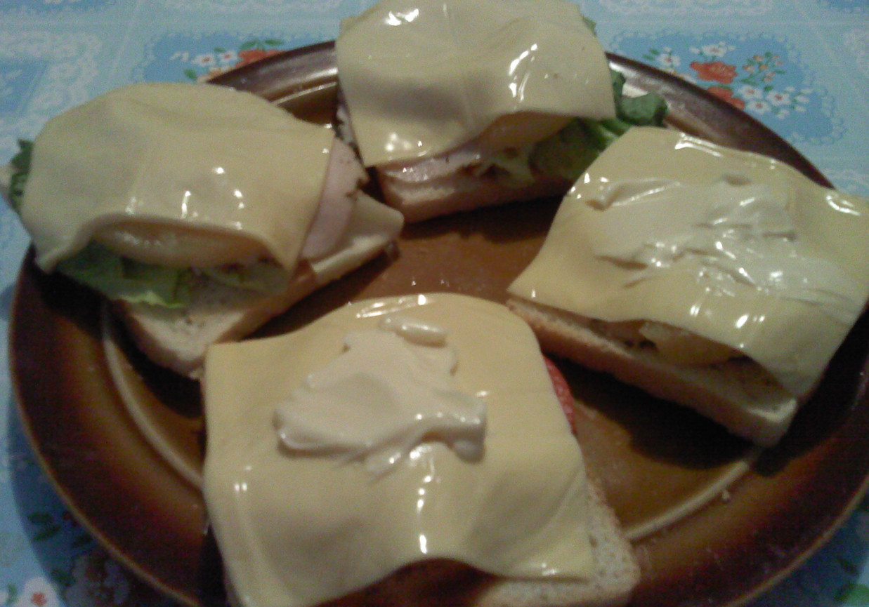 Zapiekanki na chlebie tostowym foto