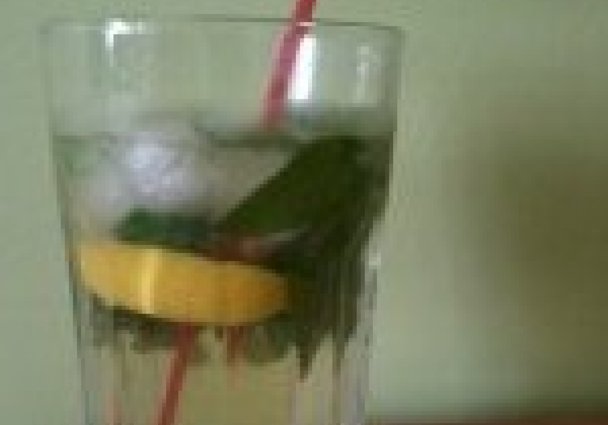 Zielona mrożona herbata z miętą i cytryną foto