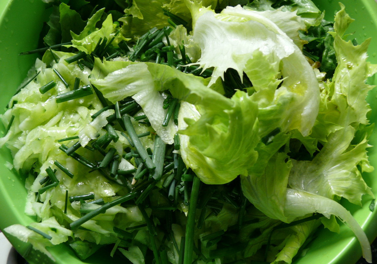 Zielona sałata do obiadu foto