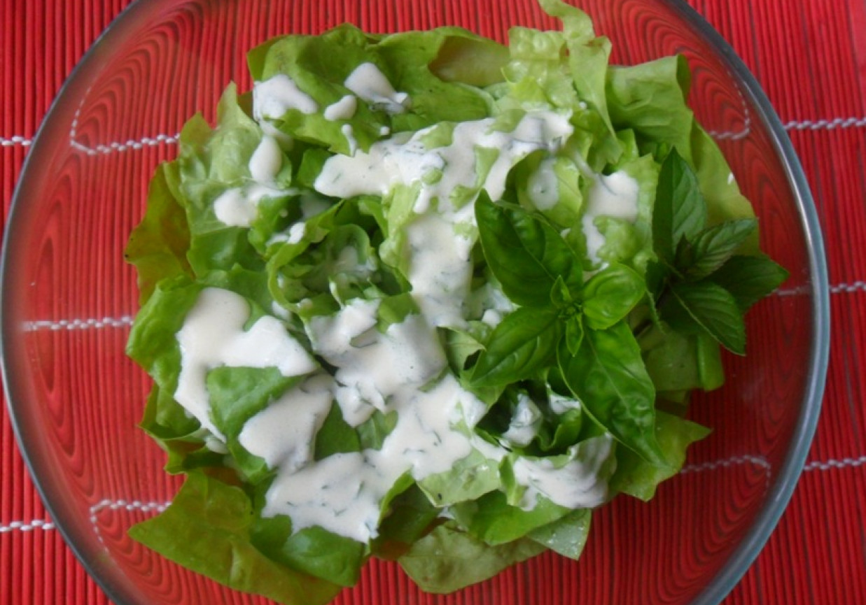 Zielona sałata w sosie ziołowym foto