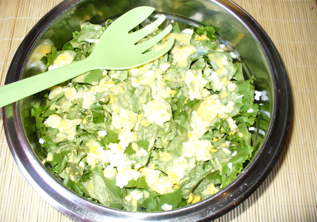 Zielona sałata  z jajkiem foto