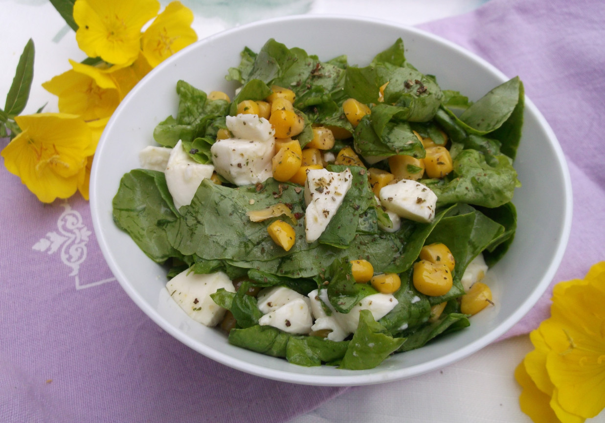 Zielona sałata z kukurydzą i serem mozzarella. foto