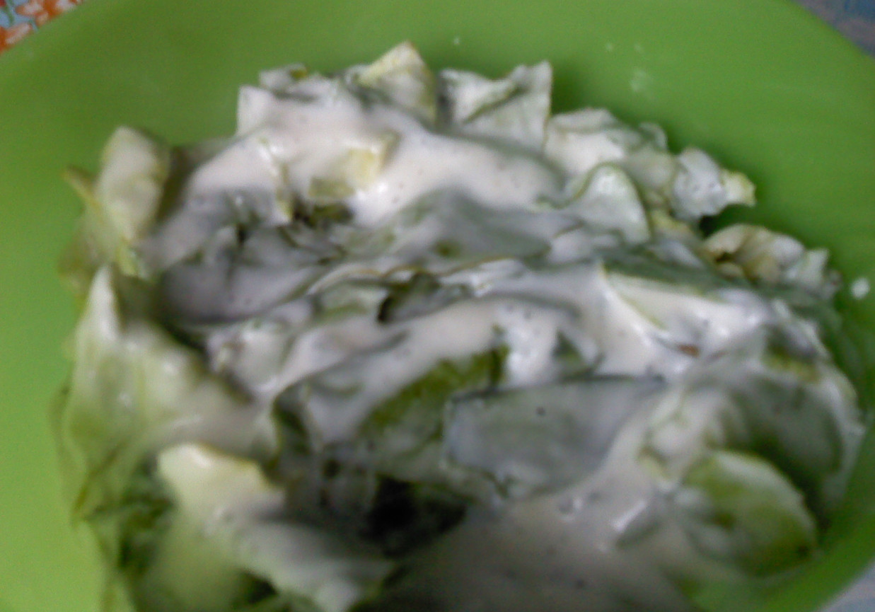 Zielona sałata ze śmietaną foto