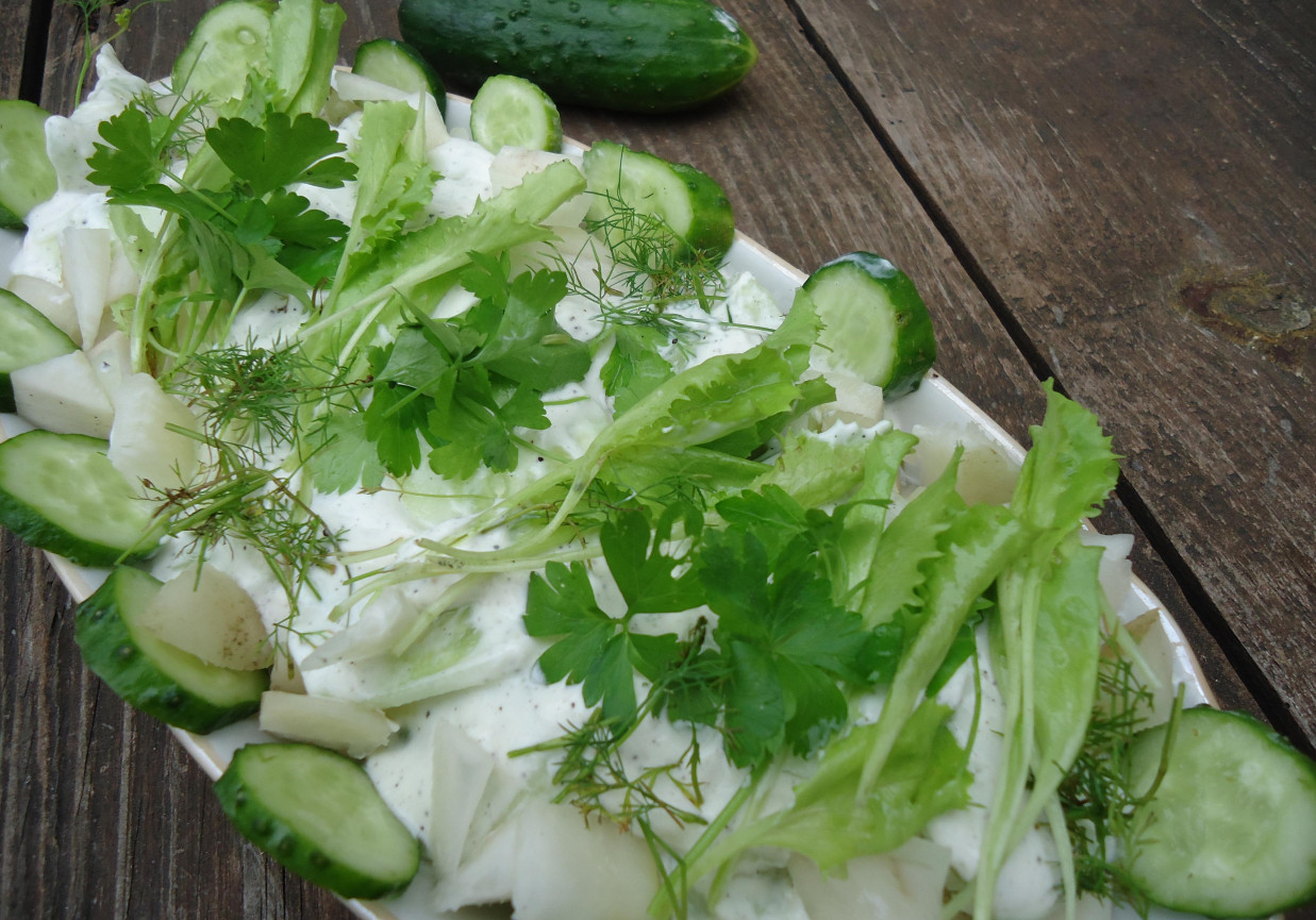 Zielona sałatka z białą rzodkwią foto