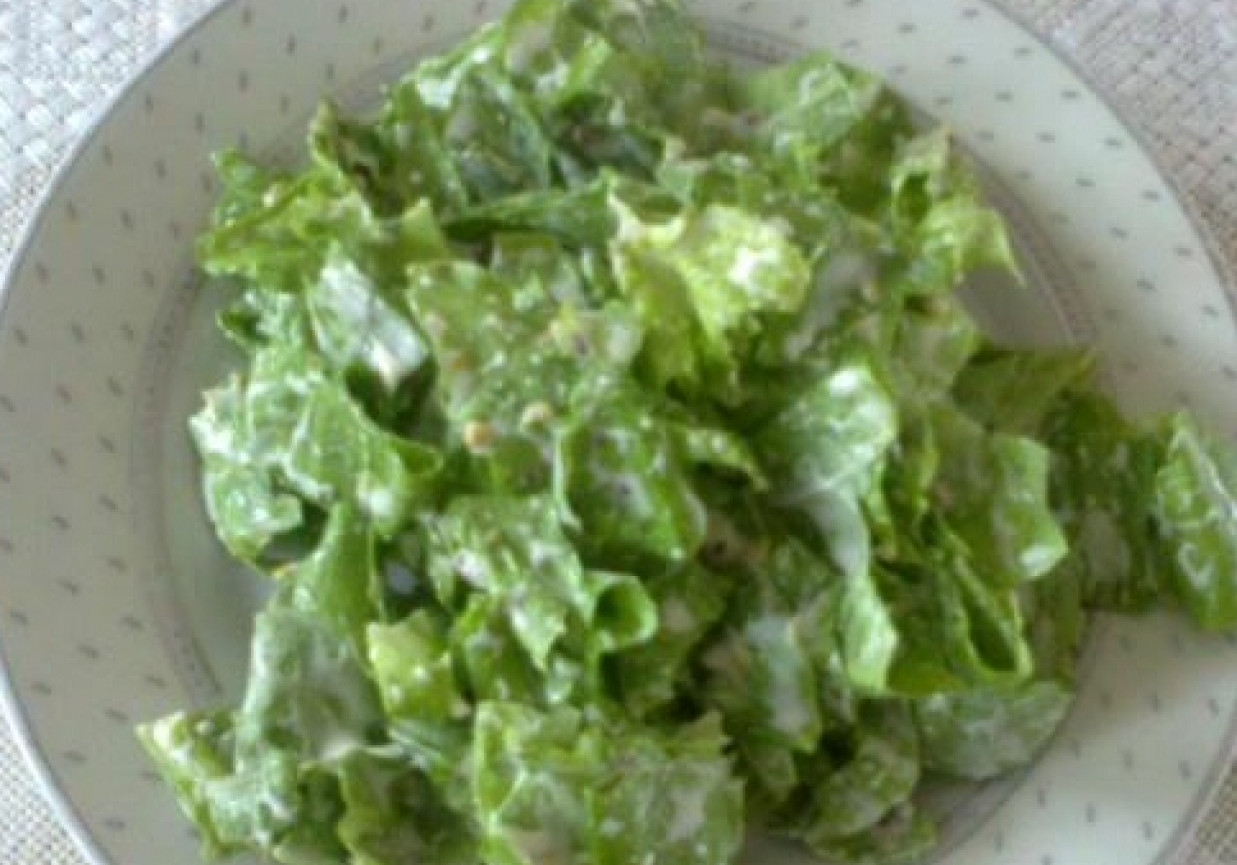 Zielona sałatka z sosem majonezowo-musztardowym foto