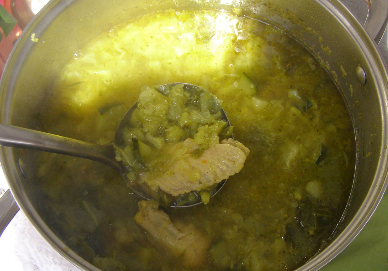 zielona warzywna zupa z makaronem na skrzydełkach... foto