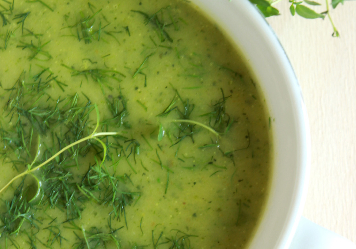 Zielona zupa z koperkiem foto