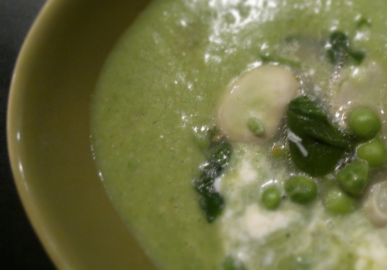 zielona zupa foto