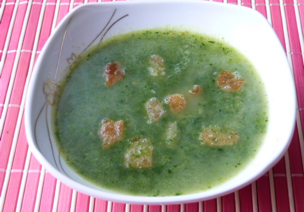 Zielona zupa foto