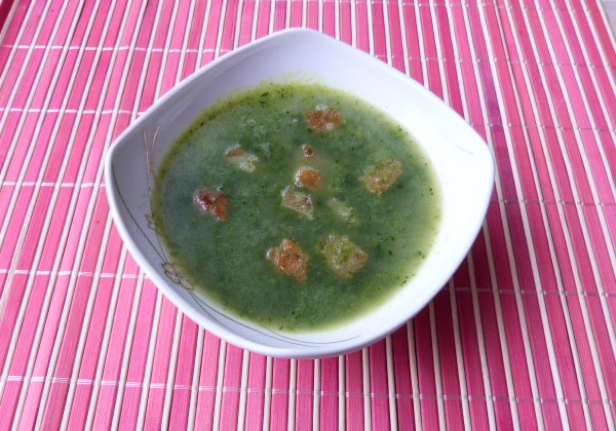 Zielona zupa foto