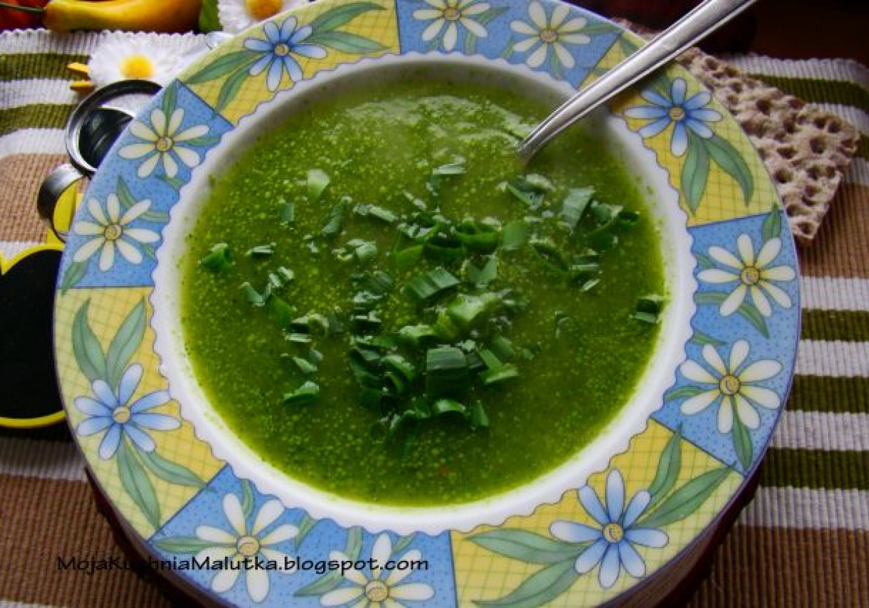 Zielona zupka cukiniowa foto