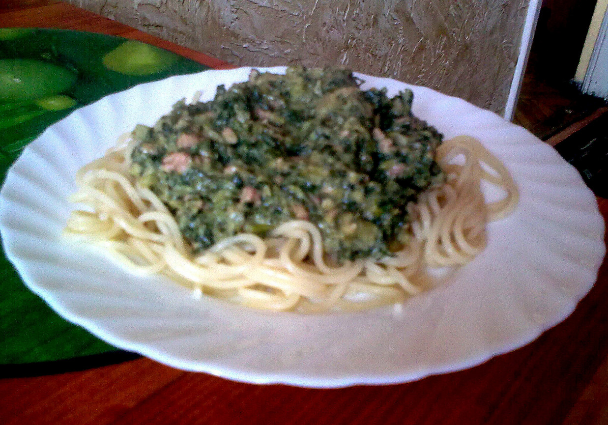Zielone spaghetti foto