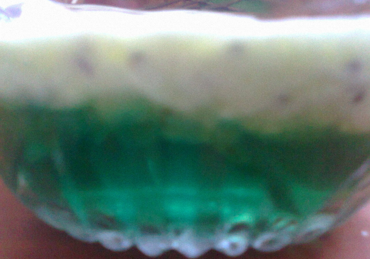 Zielony deser z kiwi foto