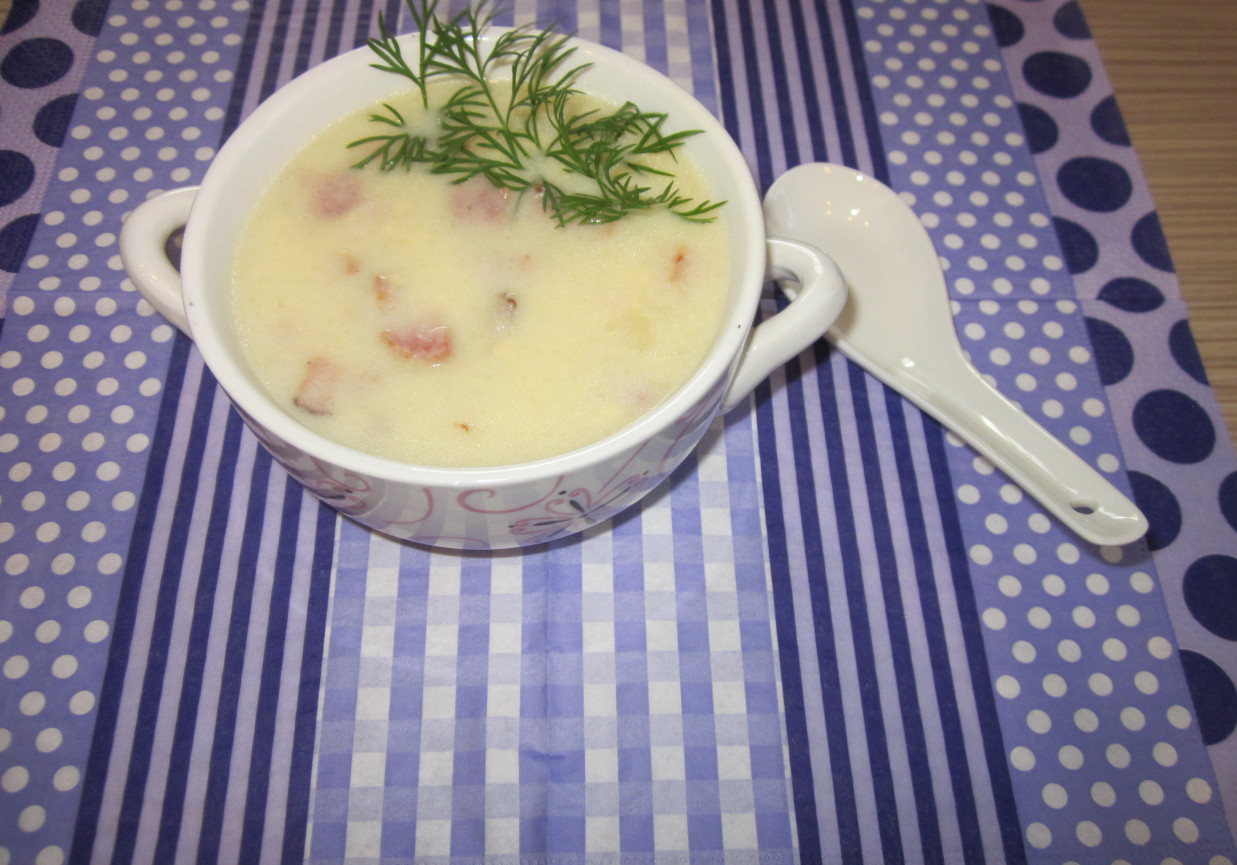 Ziemniaczano- serowa zupa krem foto