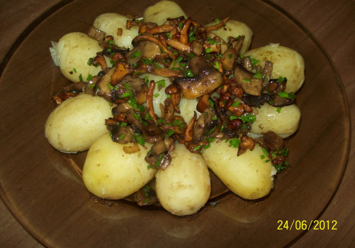 ziemniaki polane grzybami foto