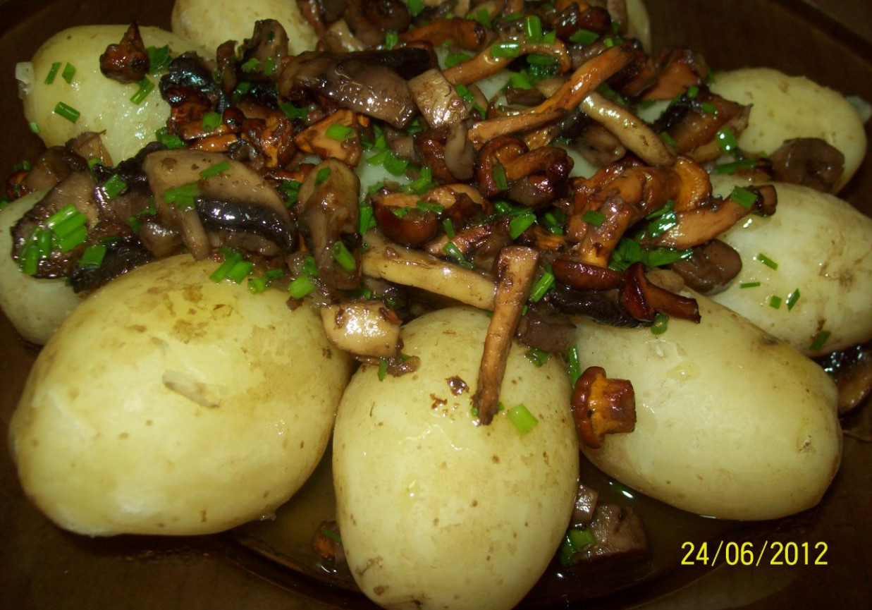 ziemniaki polane grzybami foto