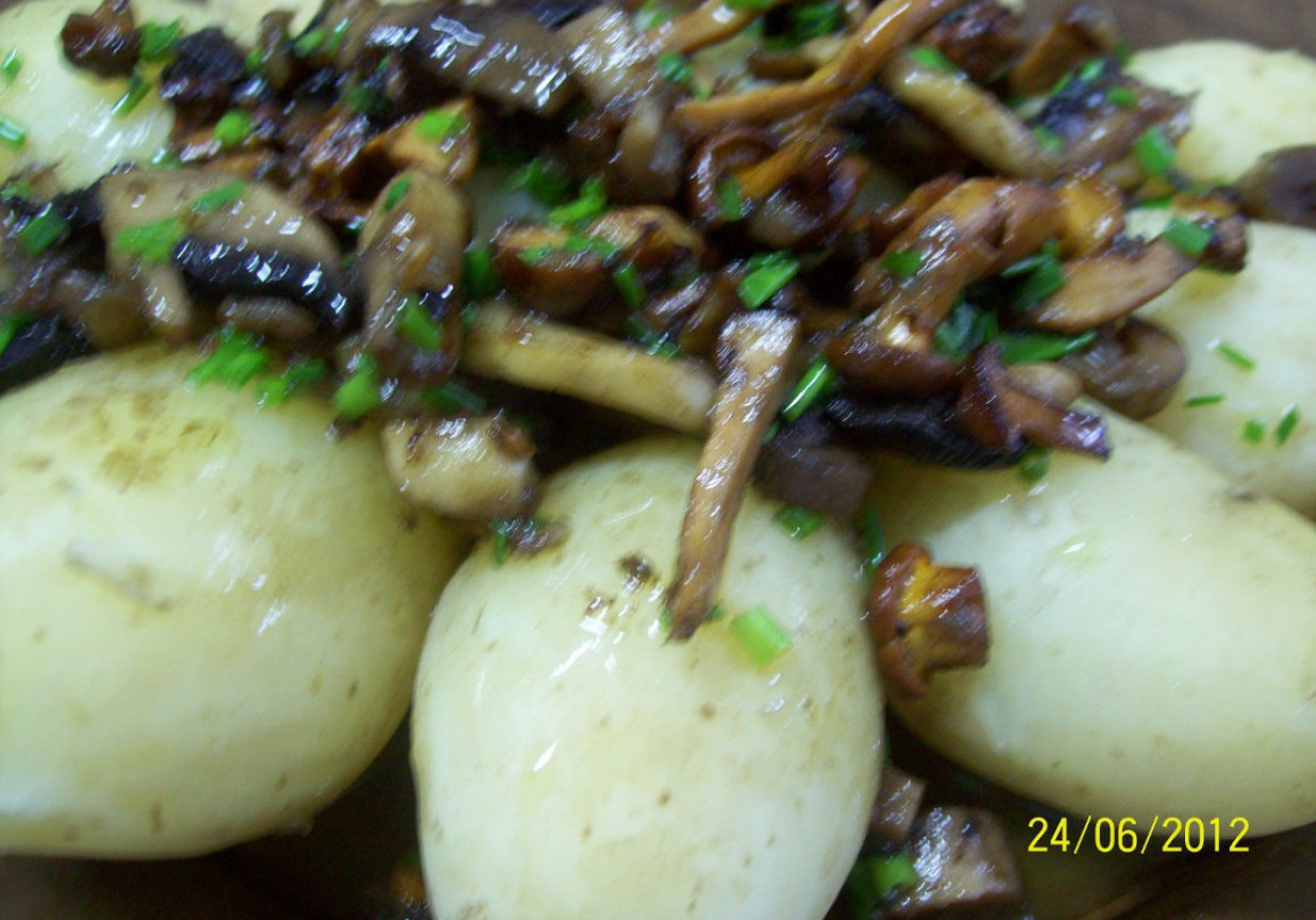ziemniaki polane grzybami foto
