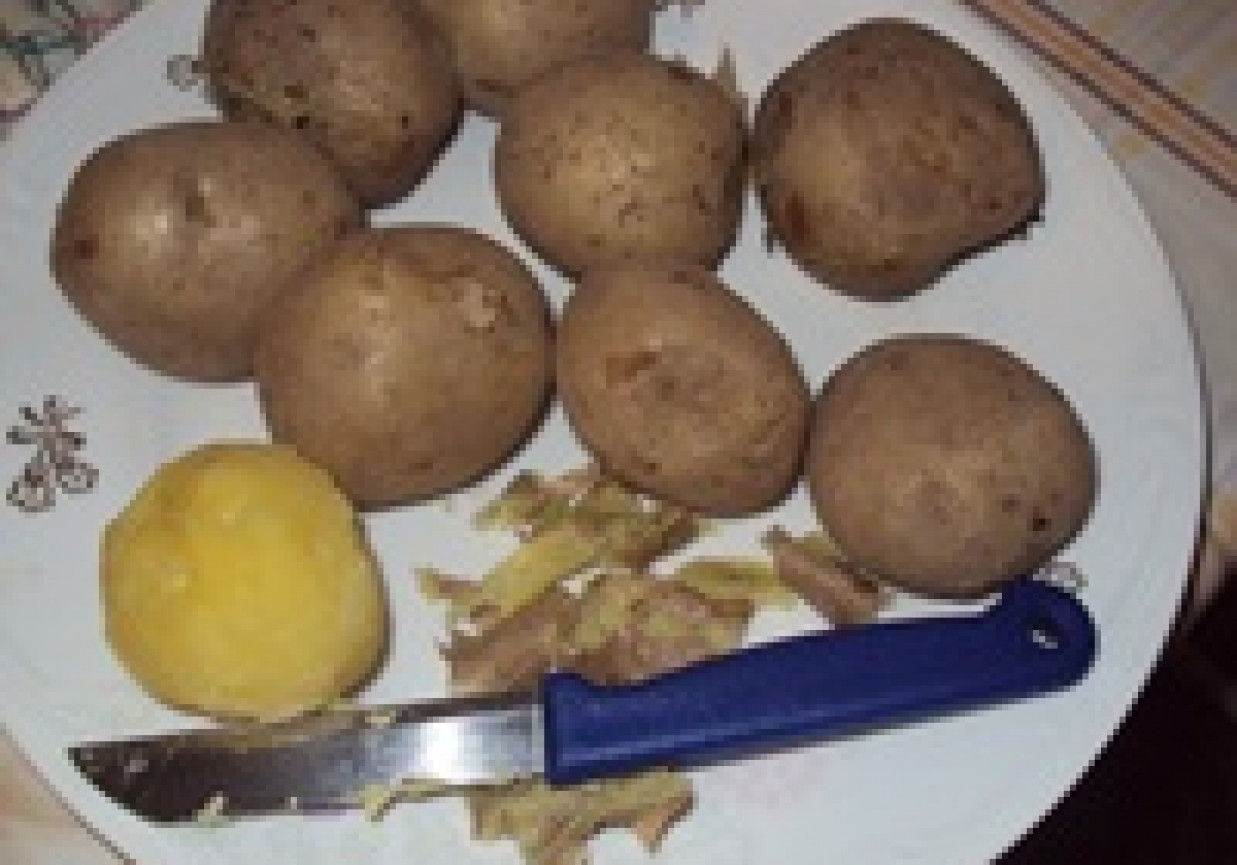 ziemniaki w mundurkach foto