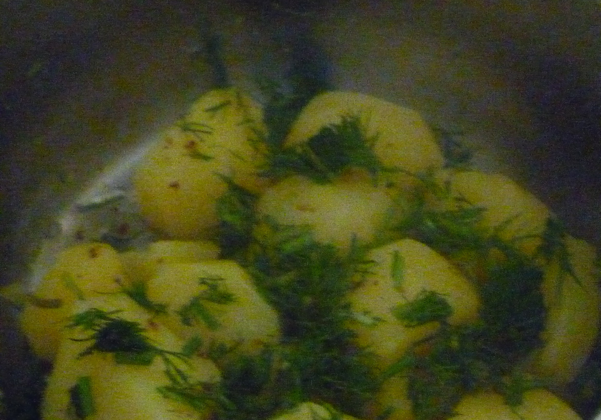 Ziemniaki z koperkiem foto