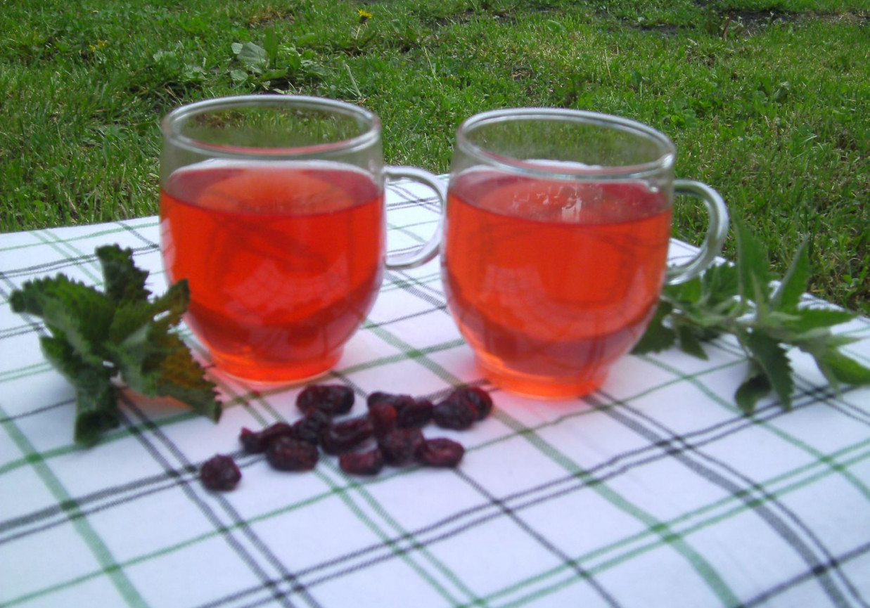Ziołowa ice tea z żurawiną foto