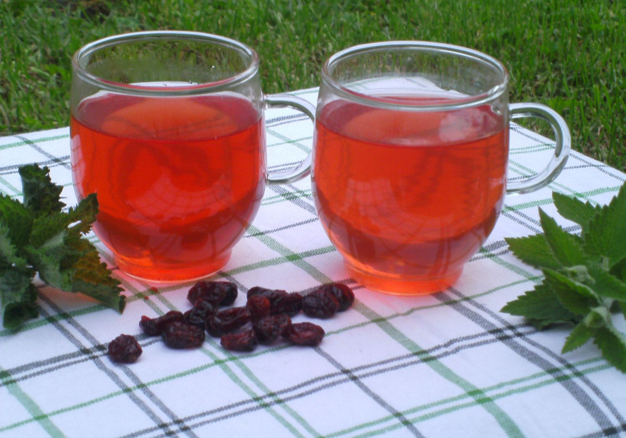 Ziołowa ice tea z żurawiną foto