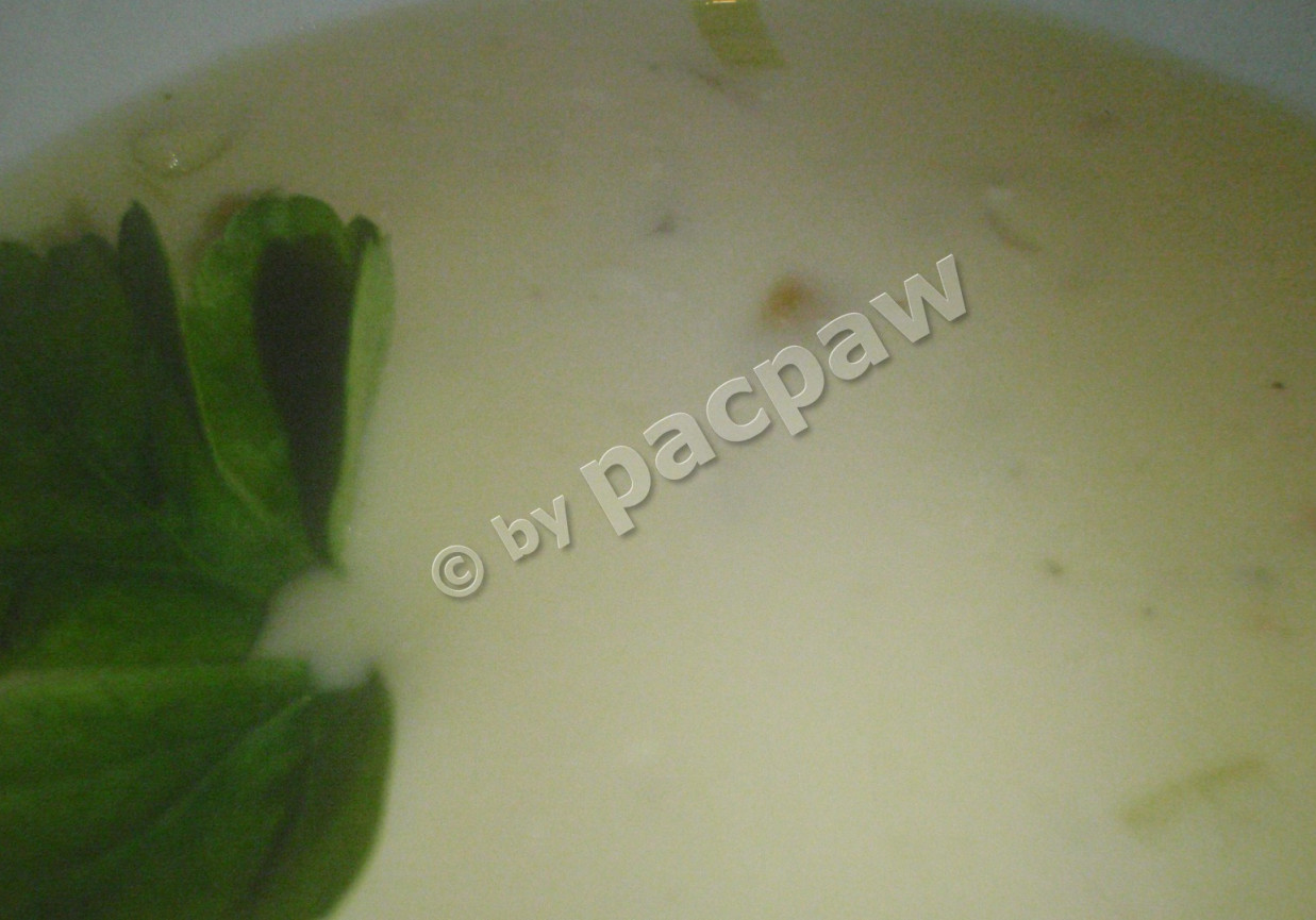 Zupa 3 serowa foto
