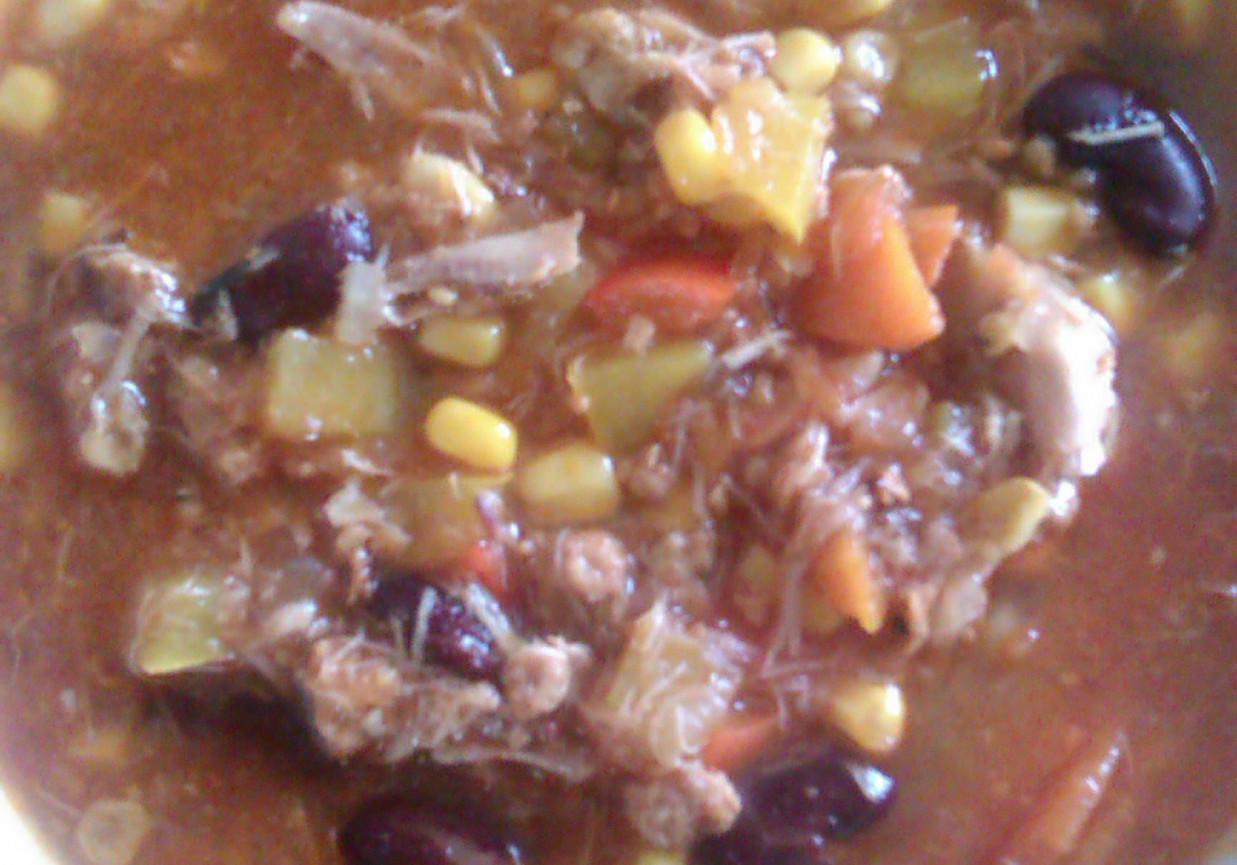 zupa a la meksykana foto