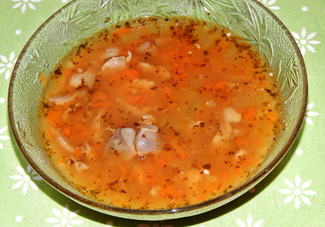 Zupa a'la flaczki z żołądków drobiowych foto