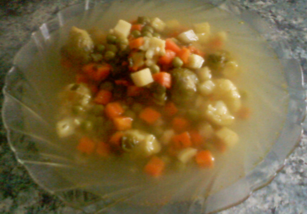 Zupa ala sukiyaki foto