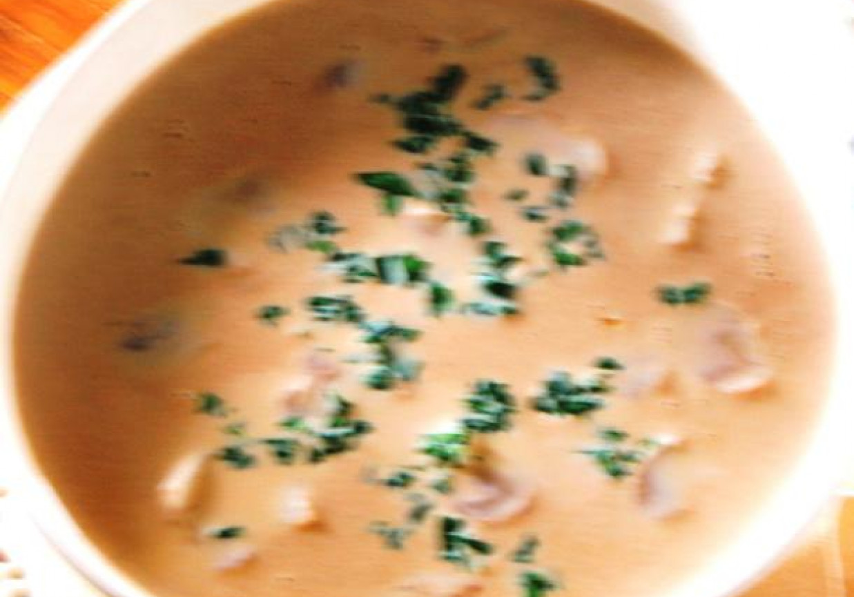 zupa borowikowa z czosnkiem i pietruszką foto