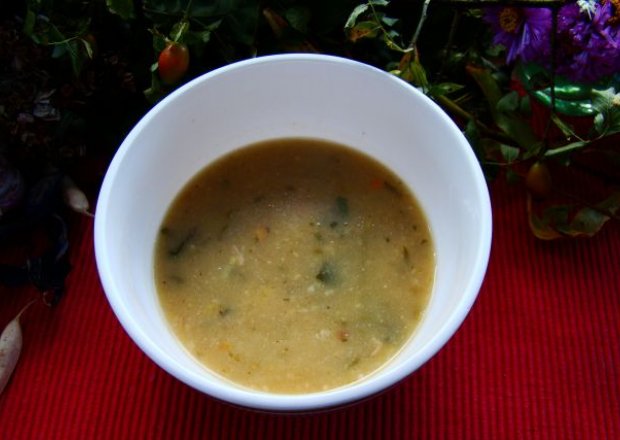 Fotografia przedstawiająca Zupa borowikowa