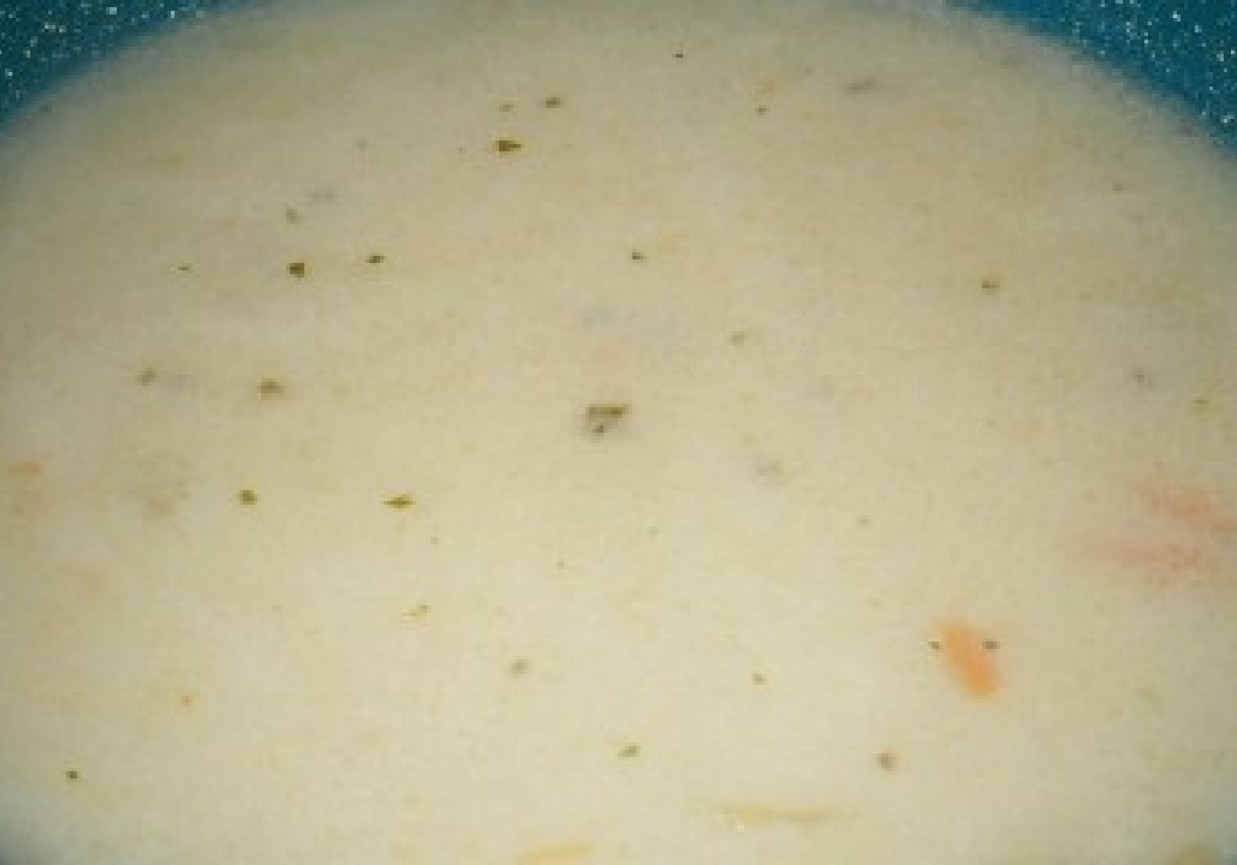 zupa borowikowa foto