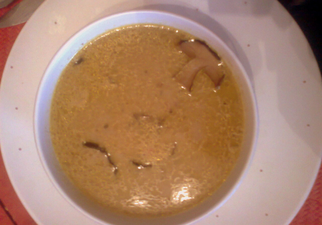 Zupa borowikowa foto