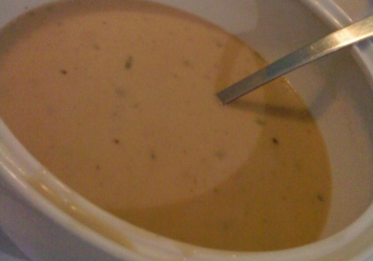 Zupa borowikowa foto