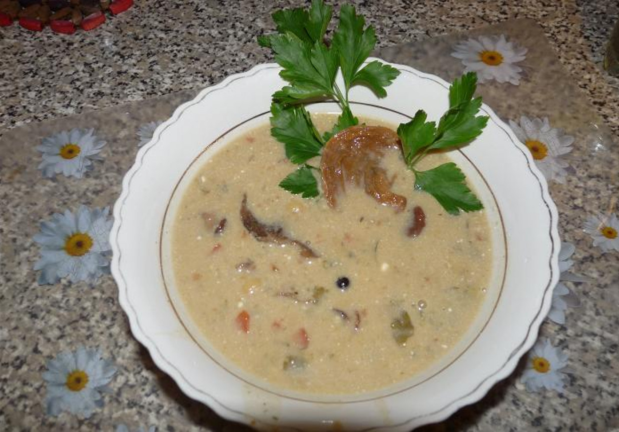 ZUPA BOROWIKOWO-KURKOWA foto